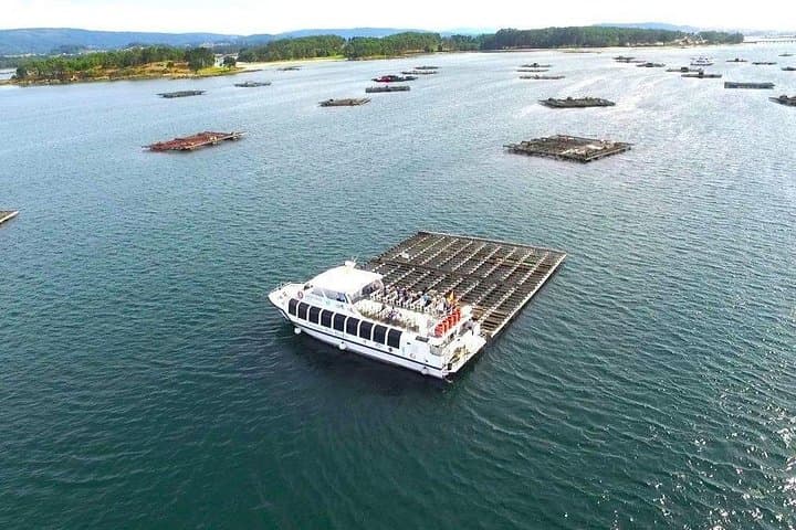 Rías-Baixas-Private-Day-Trip-from-Santiago-with-Catamaran-and-Mussel-Tasting photo 1