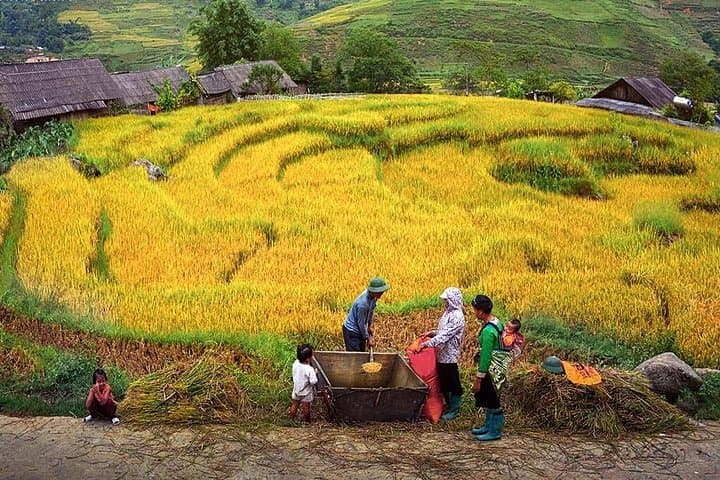 7-Day Northern Vietnam Discovery: Sapa, Ninh Binh & Ha Long Bay Adventure photo 2
