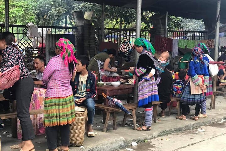7-Day Northern Vietnam Discovery: Sapa, Ninh Binh & Ha Long Bay Adventure photo 4