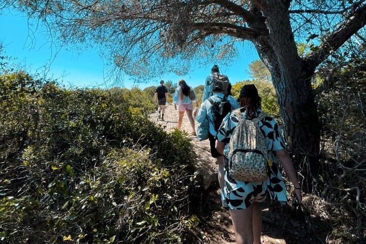 Benagil Cave, Algar Seco & Seven Hanging Valleys Day Trip from Faro photo 4