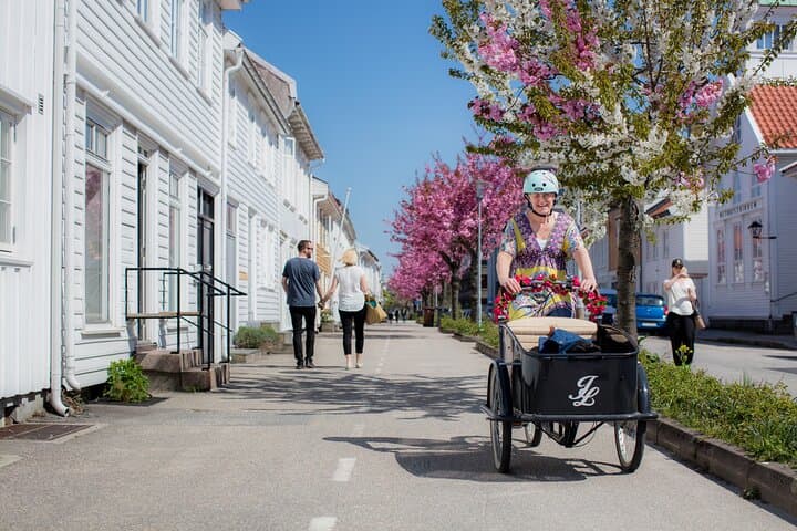 Kristiansand Guided E-Bike Tour: Coastline, Odderøya & Historic Posebyen photo 2