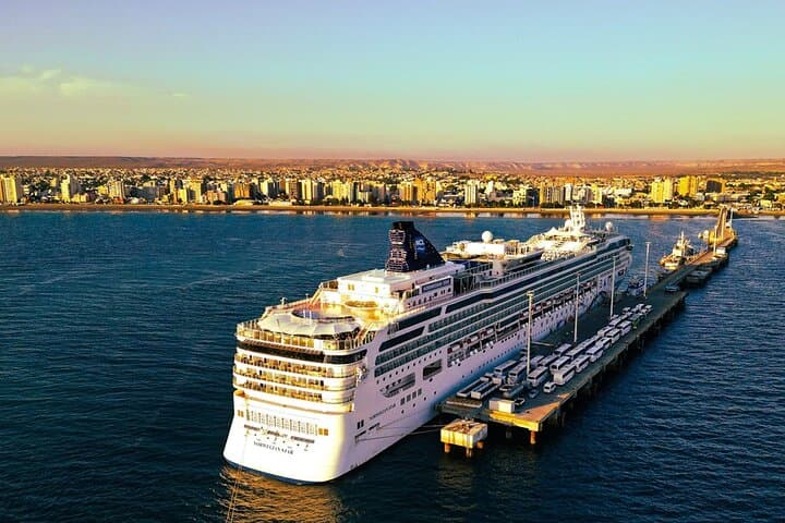Peninsula Valdés Shore Tour from Puerto Madryn: Wildlife, Orcas & Coastal Viewpoints photo 4