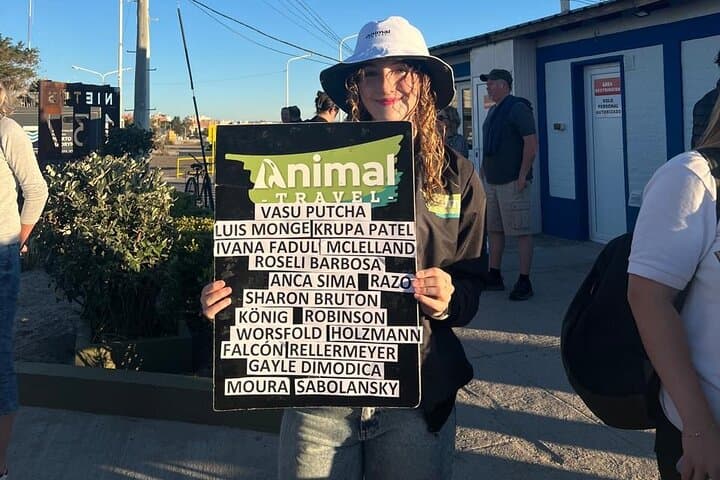 Peninsula Valdés Shore Tour from Puerto Madryn: Wildlife, Orcas & Coastal Viewpoints photo 2