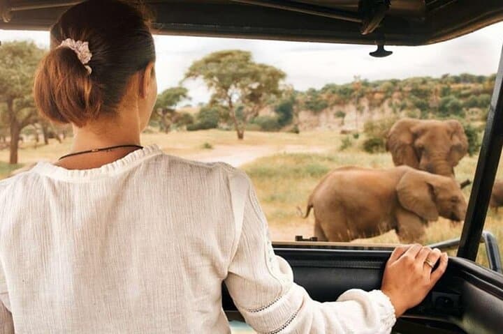 Pilanesberg National Park 6-Hour Big Five Safari from Sun City photo 3
