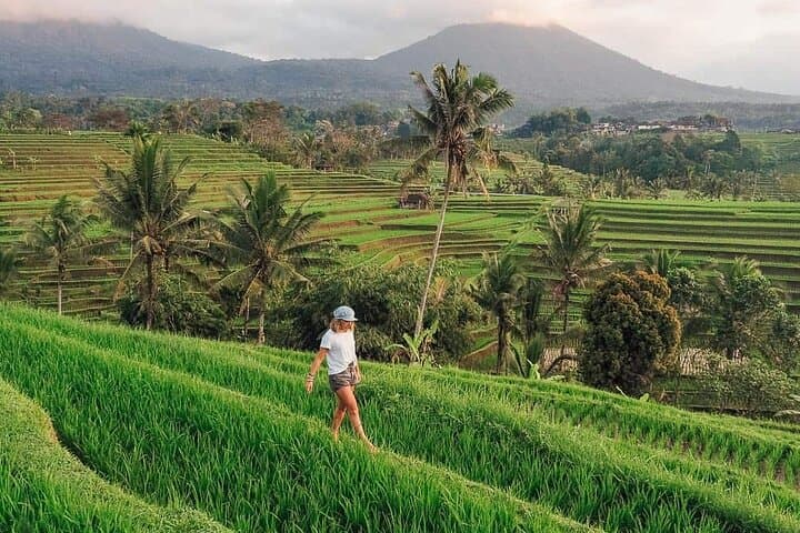 North Bali Scenic Rice Terrace Tour: Ulun Danu, Handara Gate & Banyumala Waterfall photo 3