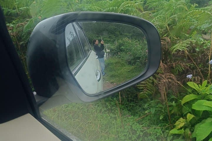 Kochi to Munnar Private Day Trip: Tea Gardens, Waterfalls & Eravikulam photo 6