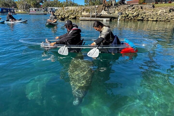 Crystal River Clear Kayak Manatee Tour: Guided Manatee Viewing in Florida