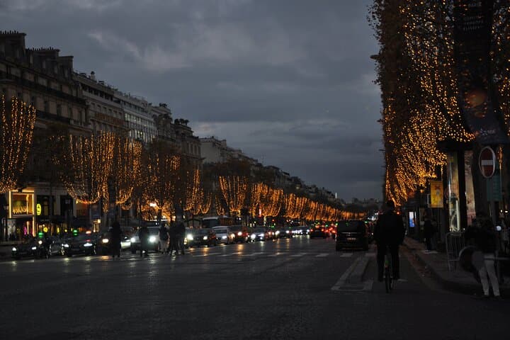Paris Christmas Lights Cab-Bike Tour — Champs-Élysées, Eiffel & Notre-Dame at Night photo 2