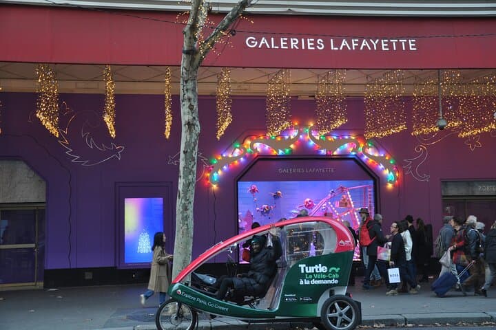 Paris Christmas Lights Cab-Bike Tour — Champs-Élysées, Eiffel & Notre-Dame at Night photo 4