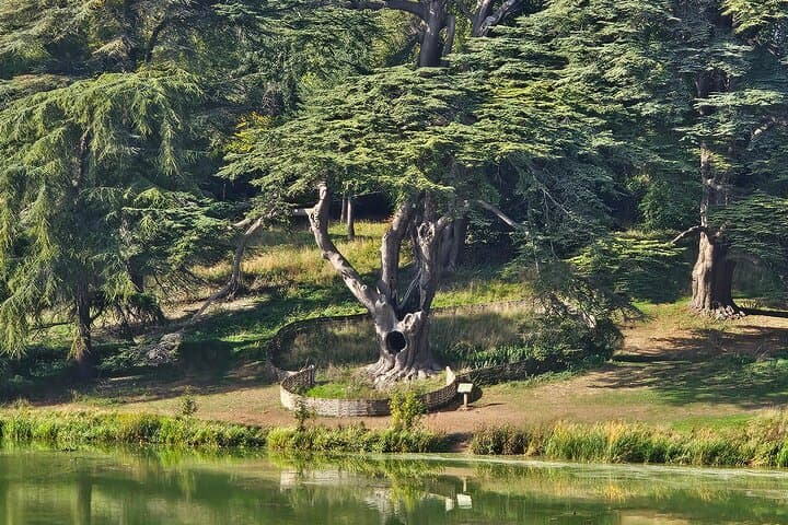 Roadside Majesty: Southampton to Heathrow Transfer with Blenheim Palace Stop photo 6