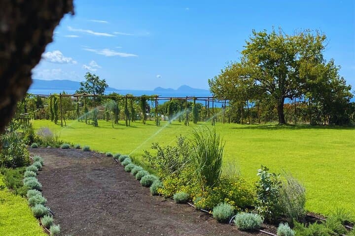 Nighttime Horseback Ride and Volcano Winery Dinner on Mt. Vesuvius photo 4