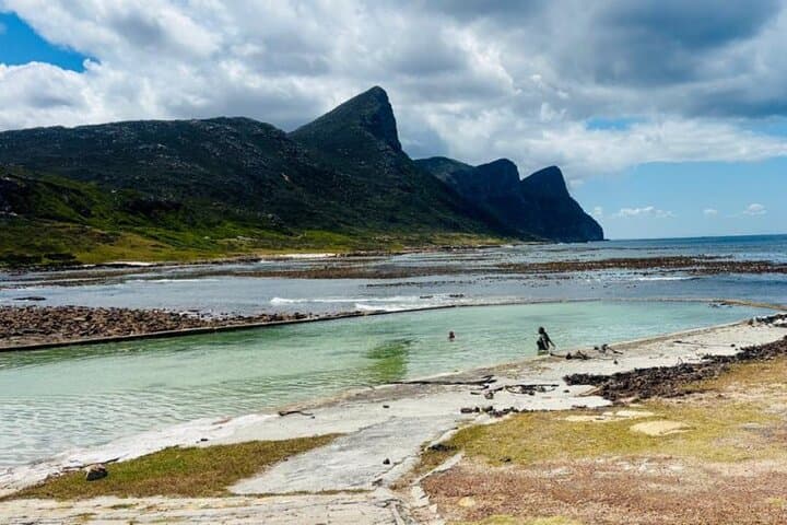 Cape Point Coastal Foraging & Wild Food Picnic: Rock Pooling and Ancestral Feast photo 2