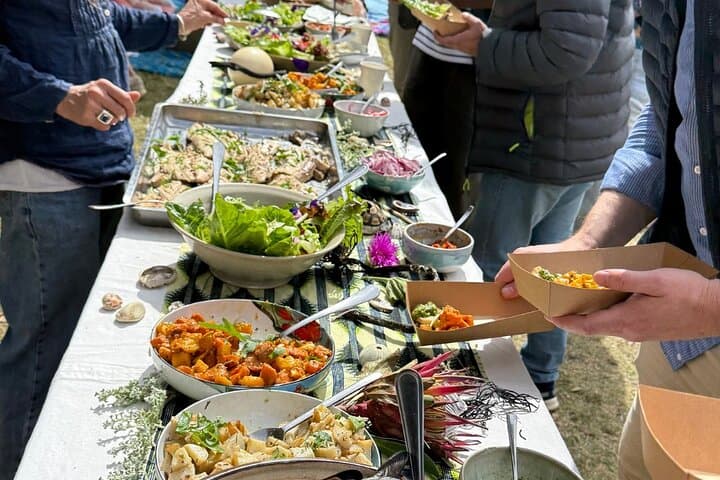 Cape Point Coastal Foraging & Wild Food Picnic: Rock Pooling and Ancestral Feast photo 4