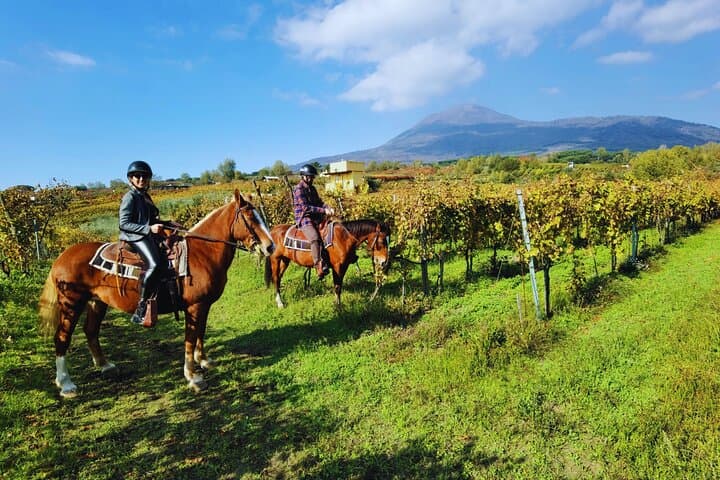 Nighttime Horseback Ride and Volcano Winery Dinner on Mt. Vesuvius