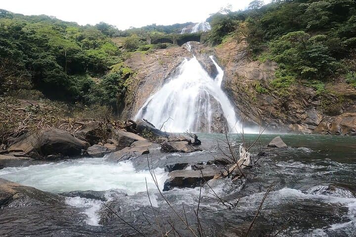 Full-Day Dudhsagar Waterfall & Spice Plantation Tour from Goa: Jeep Safari, Old Goa Churches, and Local Flavors photo 3
