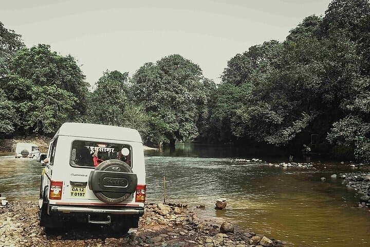 Full-Day Dudhsagar Waterfall & Spice Plantation Tour from Goa: Jeep Safari, Old Goa Churches, and Local Flavors photo 4