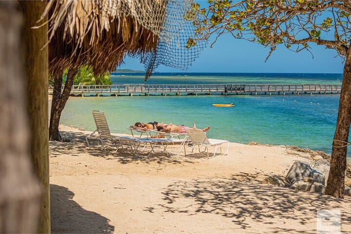 Maya Key Day Pass: Private Island Snorkeling and Mangrove Trails on Roatán photo 4
