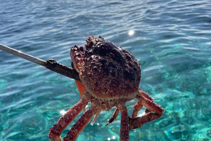 Ambergris Caye Reef Fishing & Beach Cookout — Snorkel, Catch & Shore Lunch photo 2