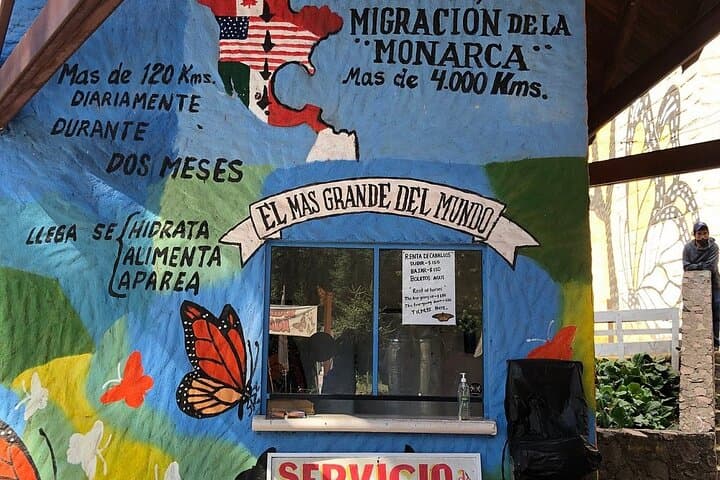 Monarch Migration Experience: Three-Day Butterfly Watch & Colonial Towns of Michoacán photo 2