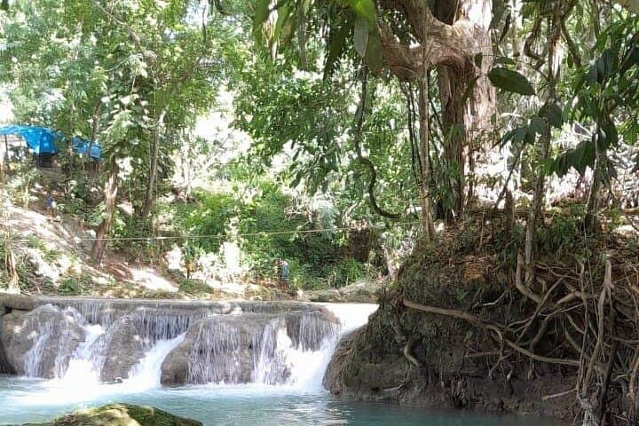 Blue Hole & Dunn's River Falls: Private Day Trip from Kingston