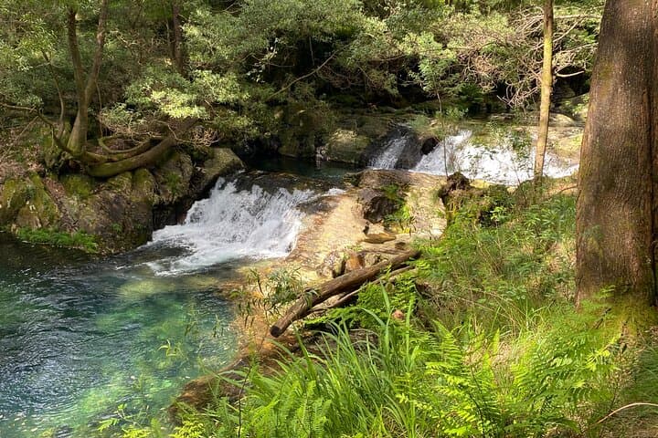 Serra D'Arga Waterfalls Hike and Cornbread Workshop Day Tour from Porto photo 3
