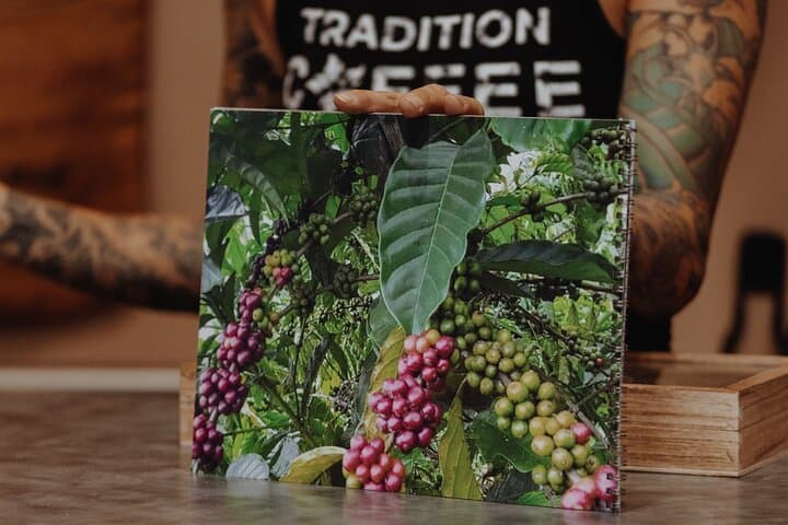 Kapaʻa Coffee Sensory Experience: Roastery Tasting Class on Kauai photo 4