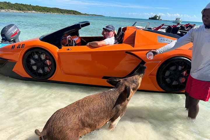 Jetcar Excursion to Pig Island from Nassau — Swim with the Pigs