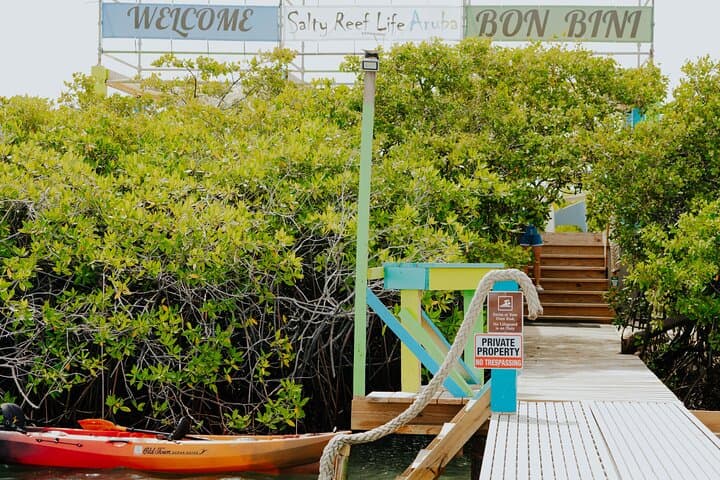 Half-Day Private Reef Island Escape in Aruba: Snorkel, Sun & Solitude