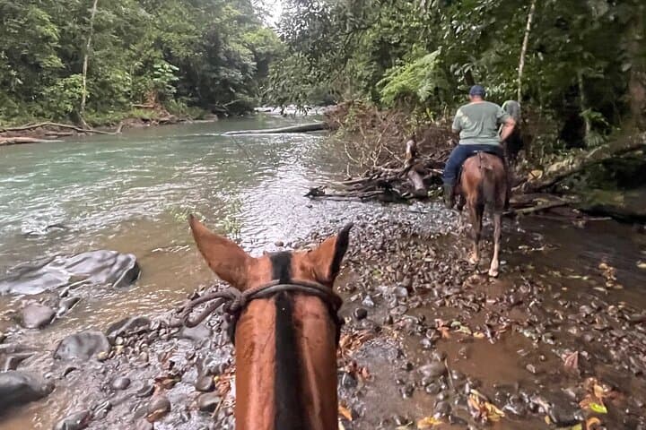 Rio Celeste Tubing and Horseback Riding from La Fortuna photo 2