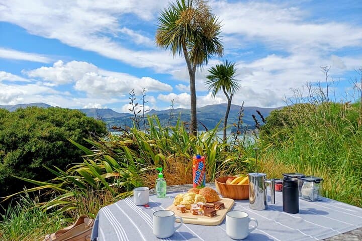 Explore the Scenic Highlights of Christchurch: A Half-Day Shore Excursion