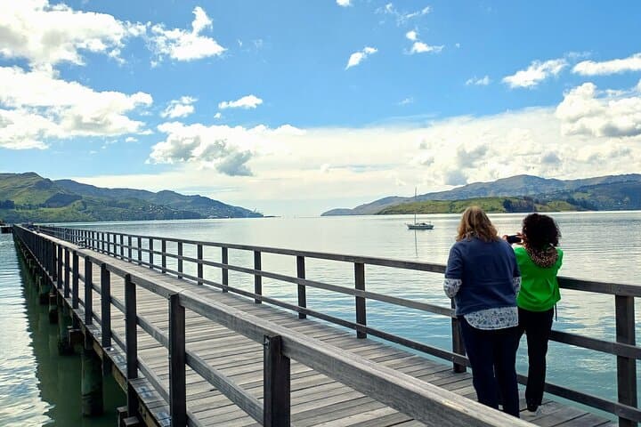 Explore Christchurch: Half-Day Scenic Highlights Tour photo 4