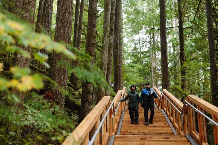 Squamish Canyon Boardwalk & Mamquam Falls — Coastal Rainforest Walk in Squamish, BC photo 6