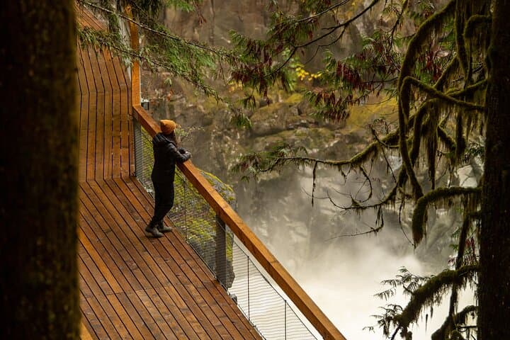 Squamish Canyon Boardwalk & Mamquam Falls — Coastal Rainforest Walk in Squamish, BC photo 3