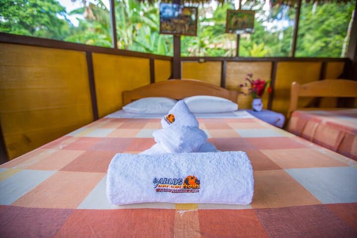 Macaw Collpa & Lake Sandoval: 3-Day Tambopata Wildlife Expedition photo 2