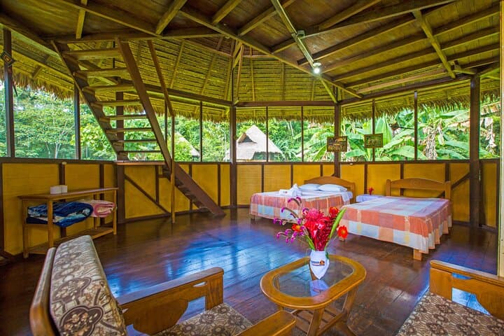 Macaw Collpa & Lake Sandoval: 3-Day Tambopata Wildlife Expedition photo 3