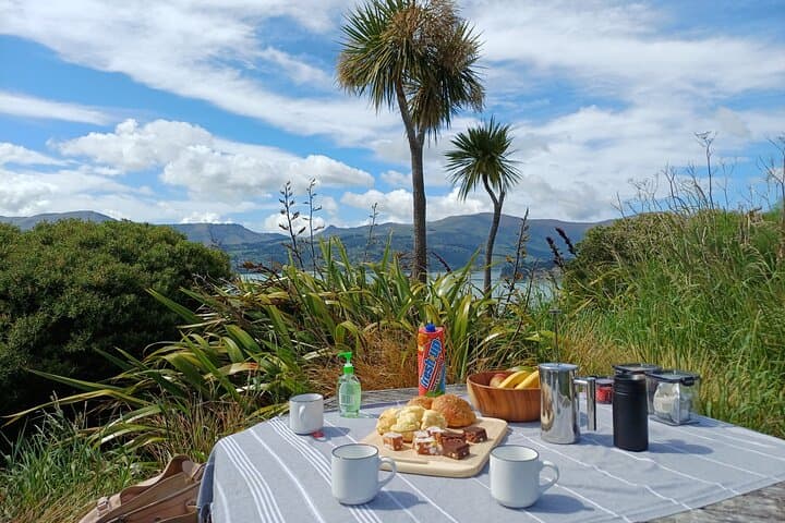 Explore Christchurch: Half-Day Scenic Highlights Tour photo 2