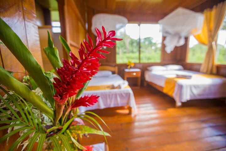 Macaw Collpa & Lake Sandoval: 3-Day Tambopata Wildlife Expedition photo 6