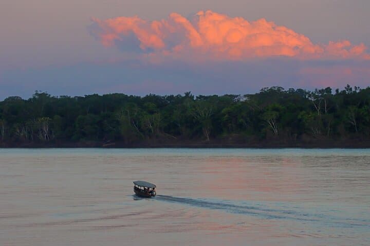 4-Day Sandoval & Collpa Parrots Expedition from Puerto Maldonado photo 6