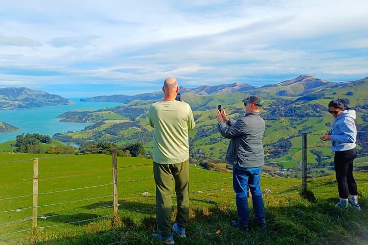Akaroa and Giant's House Garden Tour from Lyttelton — Banks Peninsula Shore Excursion