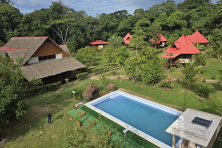 Macaw Collpa & Lake Sandoval: 3-Day Tambopata Wildlife Expedition