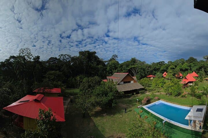 Macaw Collpa & Lake Sandoval: 3-Day Tambopata Wildlife Expedition photo 4