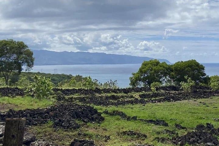 Half-Day North Shore Tour from Turtle Bay — Pipeline, Haleiwa & Hidden Lookouts photo 3