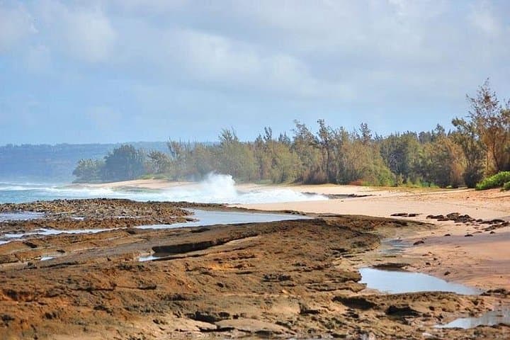 Half-Day North Shore Tour from Turtle Bay — Pipeline, Haleiwa & Hidden Lookouts photo 2
