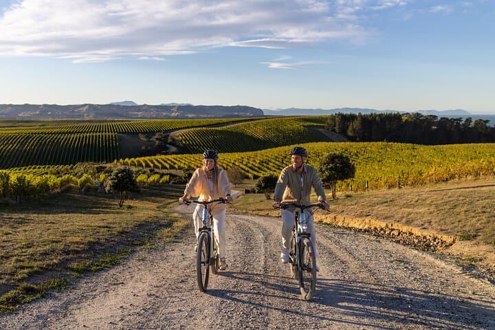 Self-Guided Biking Wine Tour from Picton — Marlborough Vineyards by Bike