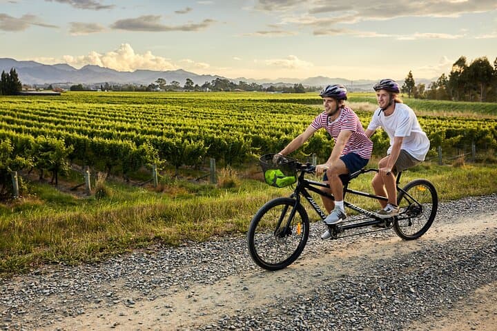 Self-Guided Biking Wine Tour from Picton — Marlborough Vineyards by Bike photo 4