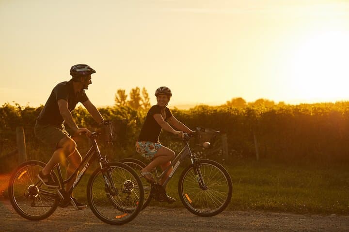 Self-Guided Biking Wine Tour from Picton — Marlborough Vineyards by Bike photo 6