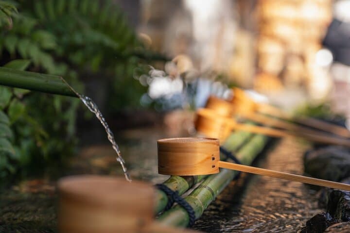 Private Kyoto, Nara & Osaka One-Day Photography Tour photo 2