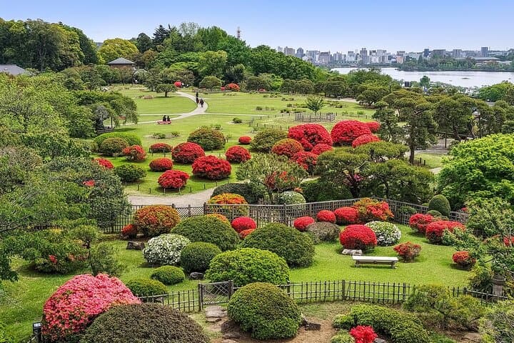 Hitachi Seaside Park & Mito Highlights: Day Tour to Nemophila, Fish Markets & Kairakuen photo 6