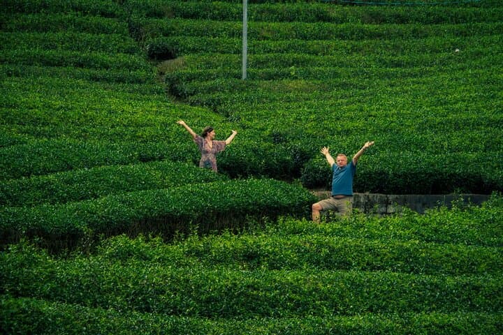 Hidden Kyoto Tea Country: Wazuka Green Tea Fields & Matcha Tasting (Private Tour) photo 2