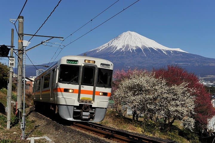 Mt Fuji & Shizuoka Wasabi Tour: Hokusai Train, Shrines & Waterfalls photo 1
